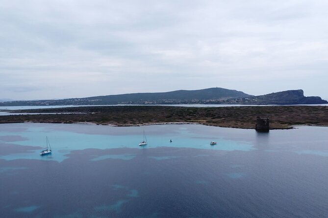 Asinara: Sailing trip in the park of Asinara - Who this sailing trip fits best (and who might want a different plan)