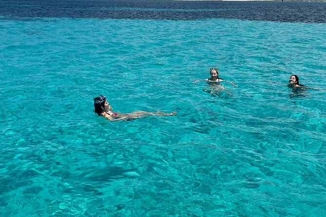 Asinara: Sailing trip in the park of Asinara - Snorkeling in the park’s bays: what’s included and how to get the most out of it