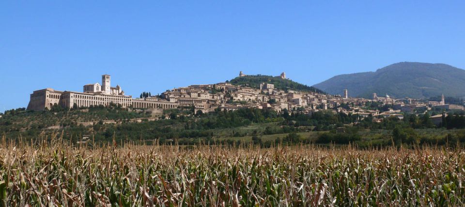 Assisi: Walking Tour with St. Francis Basilica Visit - San Rufino Cathedral: A Cathedral Stop That Explains the City’s Rhythm