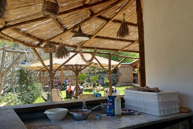Authentic Farm Tour with Pizza, Cheese, Wine & Limoncello Tasting - Pizza School with Your Own Hands: Dough, Shaping, and Real Coaching