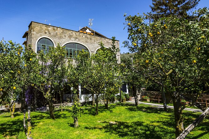 Backroads & Limoncello Experience: Sorrento E-Bike Tour - Key things to know before you go