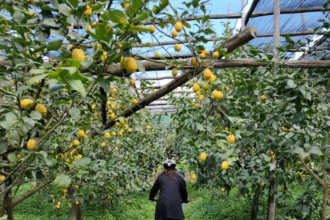 Backroads & Limoncello Experience: Sorrento E-Bike Tour - Guides shape the experience more than you’d expect