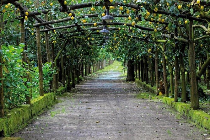 Backroads & Limoncello Experience: Sorrento E-Bike Tour - Value check: what you’re paying for