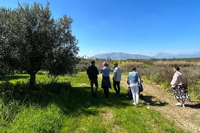 Balestrate Olive Grove Tour: Wine and Olive Oil Tasting - The most Sicilian part: lunch at Francesco’s grandparents’ home
