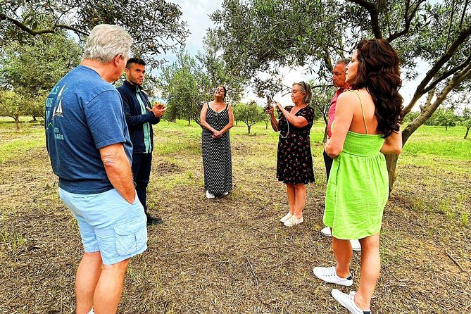 Balestrate Olive Grove Tour: Wine and Olive Oil Tasting - The tasting lineup: olive oil, balsamic vinegar, wine, and limoncello