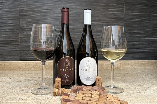 Balestrate Olive Grove Tour: Wine and Olive Oil Tasting - Price and value: what you get for about $67.72