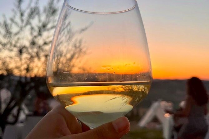 Balestrate Olive Grove Tour: Wine and Olive Oil Tasting - Logistics that matter in the real world