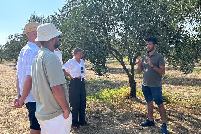 Balestrate Olive Grove Tour: Wine and Olive Oil Tasting - What you learn before tasting: how EVOO gets made (and why it matters)