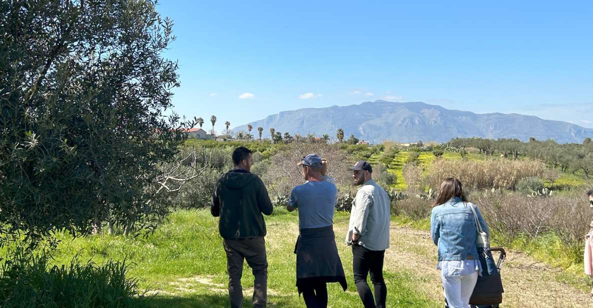 Balestrate: Olive Grove Tour with Wines & Olive Oil Tasting - Finding the meeting point: Bivio Quattro Vanelle to the olive groves