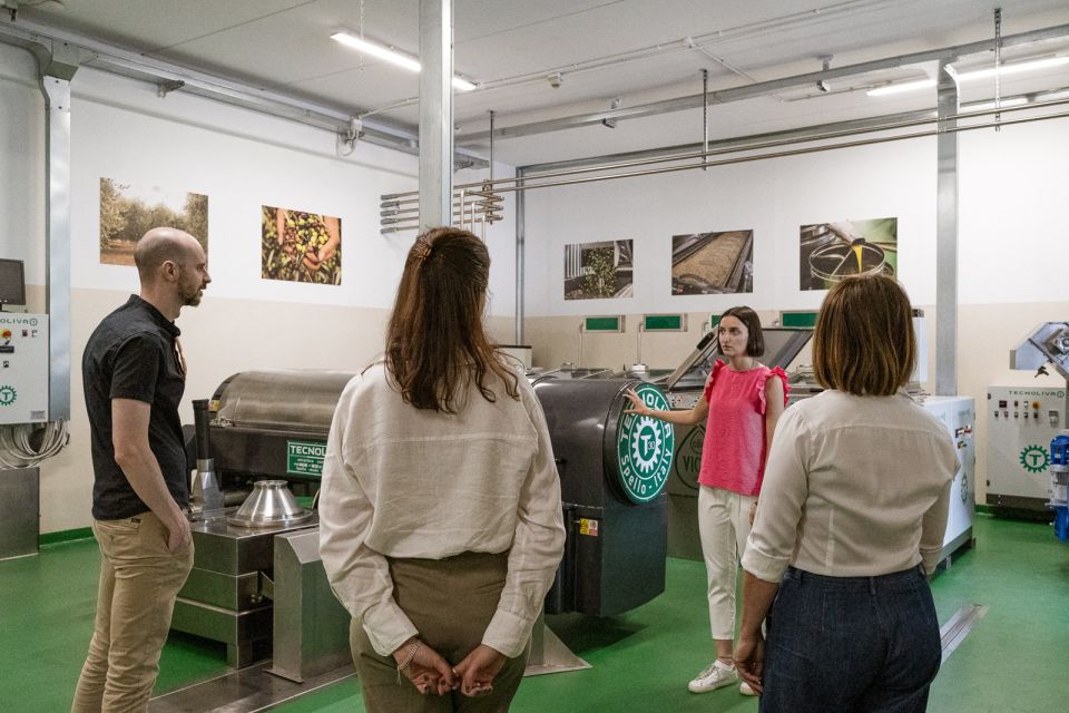 Bardolino: Lake Garda Oil Mill Tour with Olive Oil Tasting - Should You Book This Bardolino Oil Mill And Tasting?