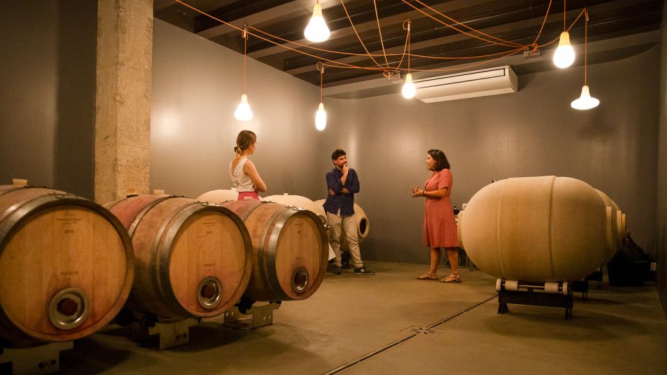 Bardolino: Vineyard Tour with Wine and Food Tasting - The tasting lineup: four wines paired with Monte Veronese and Soppres
