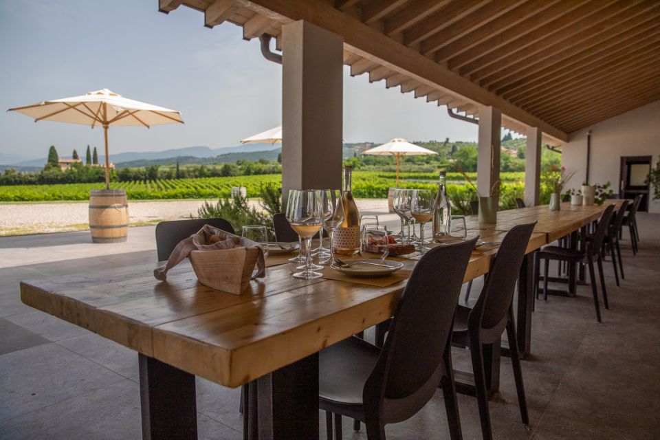 Bardolino: Vineyard Tour with Wine and Food Tasting - What the guide adds: family business energy and clear explanations