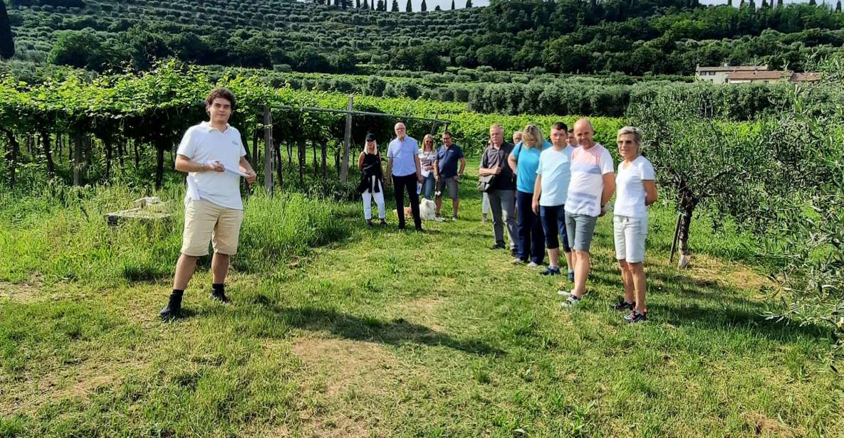 Bardolino: Vineyard Tour with Wine, Olive Oil & Food Tasting - Quick take: what makes this Bardolino tasting work