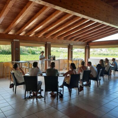 Bardolino: Vineyard Tour with Wine, Olive Oil & Food Tasting - Vineyard tour basics: Bardolino DOC, grape varieties, and olive trees