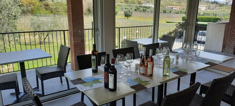 Bardolino: Vineyard Tour with Wine, Olive Oil & Food Tasting - Learning the production method without drowning in jargon