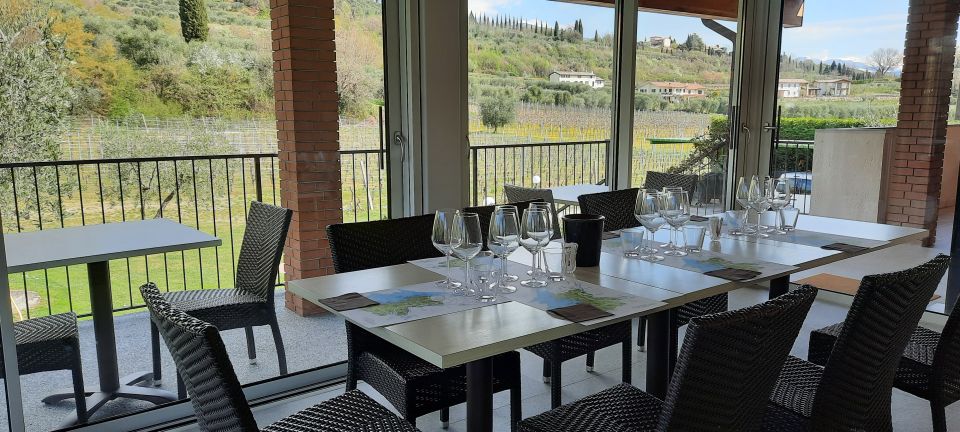 Bardolino: Vineyard Tour with Wine, Olive Oil & Food Tasting - Family-run authenticity: what “innovation” looks like here
