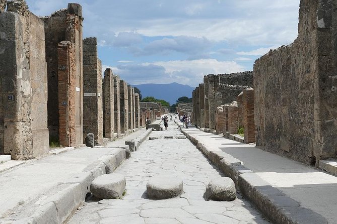 Best Pompeii Private Tour from Naples Port or Hotel Pick Up - Entering Pompeii With Skip-the-Line Comfort