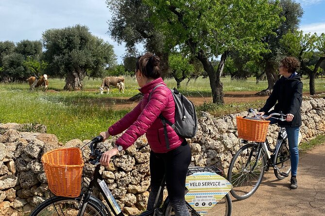 Bike Rental in Bari - Your Bari Ride: From Narrow Streets to Real Apulian Stops