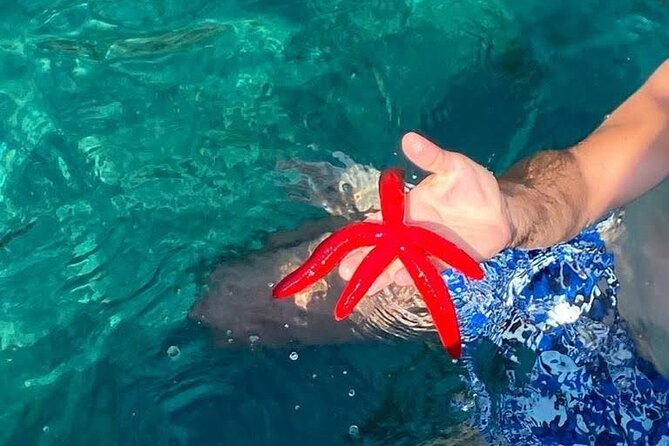 Boat tour Giardini Naxos Taormina Isola Bella Blue Grotto - Price and Value: Is $48.37 a Good Deal?