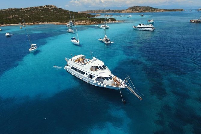 Boat Tour La Maddalena Archipelago from Palau - Check-in timing and parking in Palau: how to not start the day stressed
