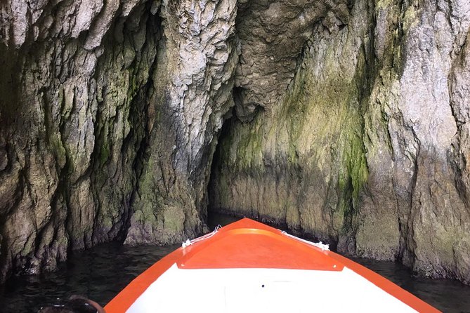 Boat tour of Ortigia Island and sea caves - Price and value: why $24.20 feels reasonable (most days)
