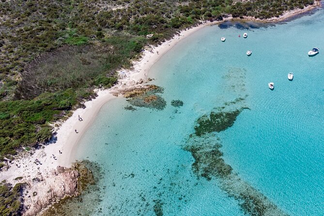 Boat trip La Maddalena Archipelago - Departure from Palau - Price vs. reality: $63.49 is a value play, not a private-boat promise