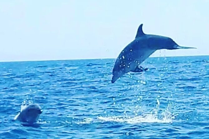 Boat trips with Zorro - The north-coast caves and afternoon route: Mare Morto to Cala Francese