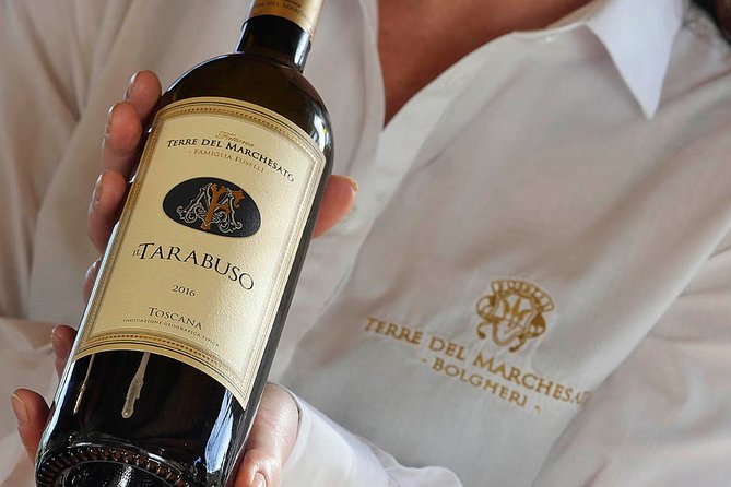 Bolgheri: Classic Wine Tasting with Winery Tour - Key takeaways before you go