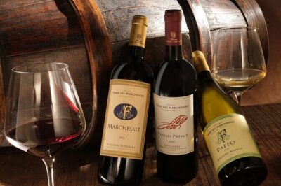 Bolgheri: Classic Wine Tasting with Winery Tour - Winery Tour: where you’ll learn what happens after harvest