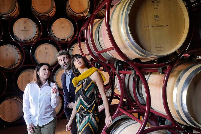 Bolgheri: Classic Wine Tasting with Winery Tour - Logistics that actually matter: getting there and timing your visit