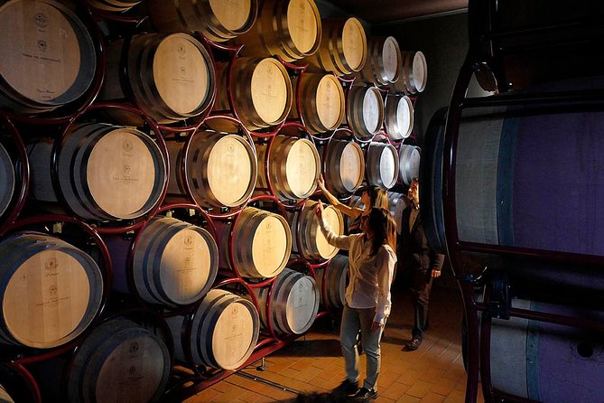 Bolgheri: Classic Wine Tasting with Winery Tour - Is it worth $30.25? Value in Bolgheri wine country