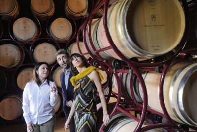 Bolgheri: Winery Tour with Wine Tasting - Entering the winery world: the vineyard and winery part