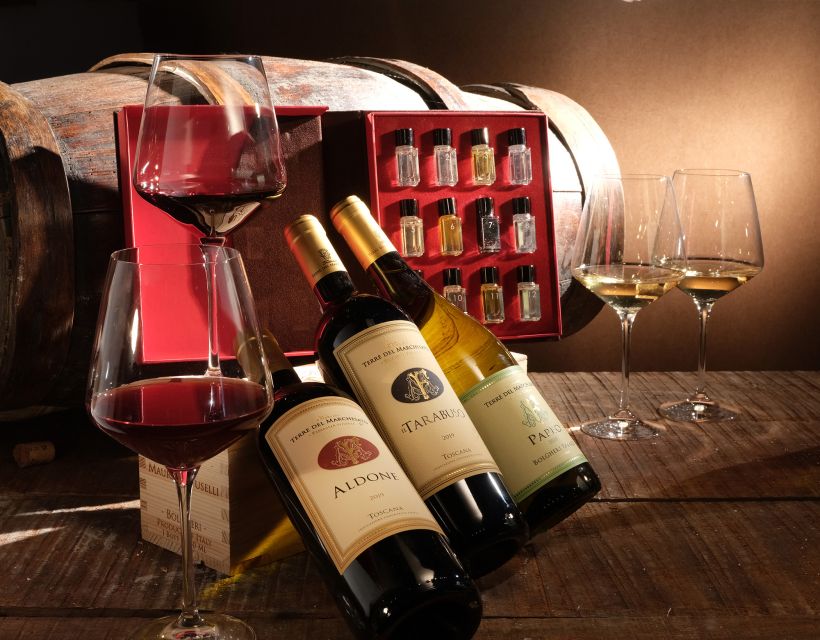 Bolgheri: Winery Tour with Wine Tasting - Who should book this Bolgheri winery tour (and who should skip it)