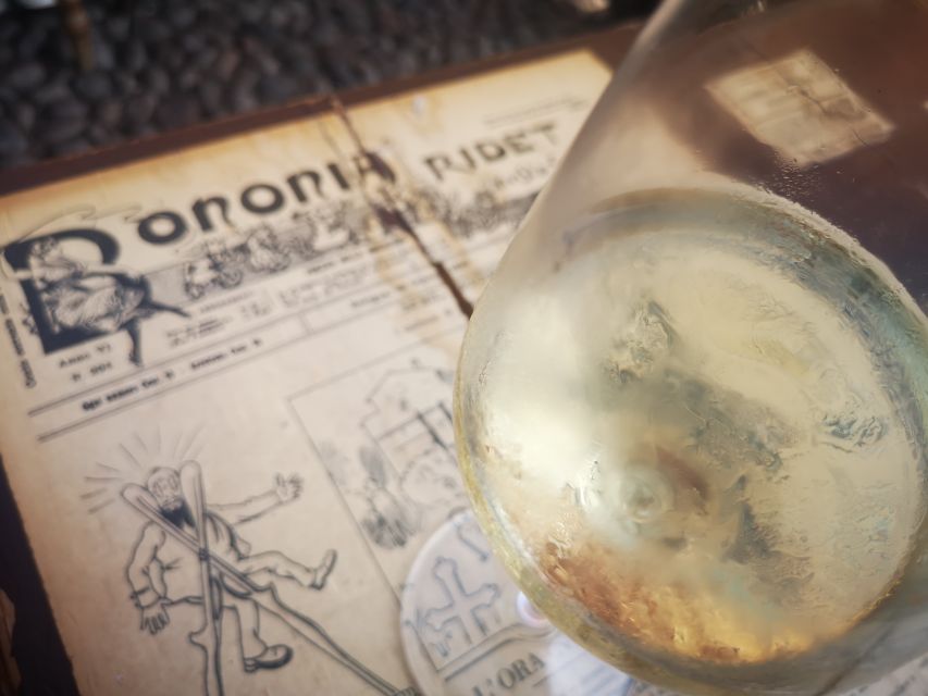 Bologna: City Center Guided Wine Walking Tour - Entering The Wine Zone From Piazza del Nettuno