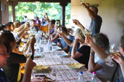Bologna Food Experience: Factory tours & Family-Style Lunch - Parmigiano Reggiano in Modena province: curd, tasting, and the 12-month reality check