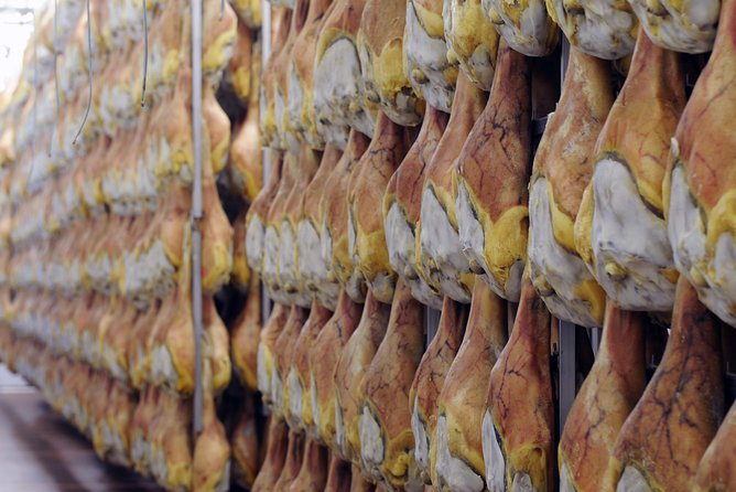 Bologna Food Experience: Factory tours & Family-Style Lunch - The family-style lunch: pasta courses, wine pairings, and the karaoke finale