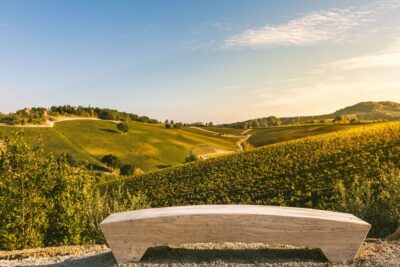 Bologna: Olive Grove and Vineyard Tour with Product Tastings - The 1–1.5 Hour Rhythm: What Happens After You Arrive