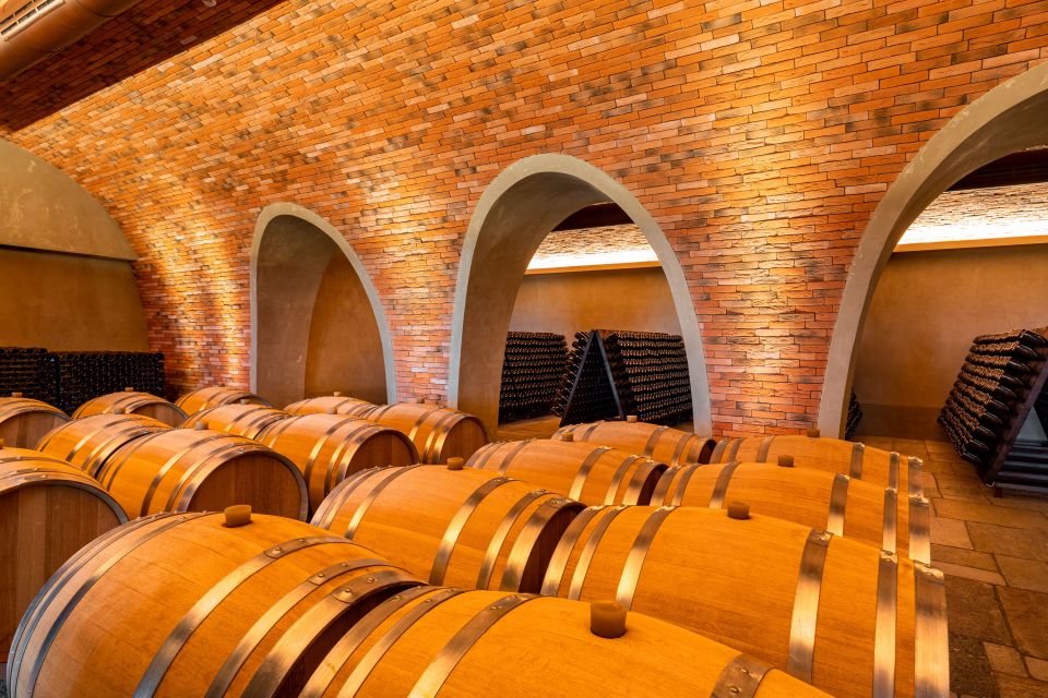 Bologna: Olive Grove and Vineyard Tour with Product Tastings - Wine Tastings With a Real Production Mindset