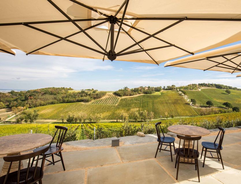 Bologna: Olive Grove and Vineyard Tour with Product Tastings - The Hosts and Guides: Friendly, Talk-Through Explanations