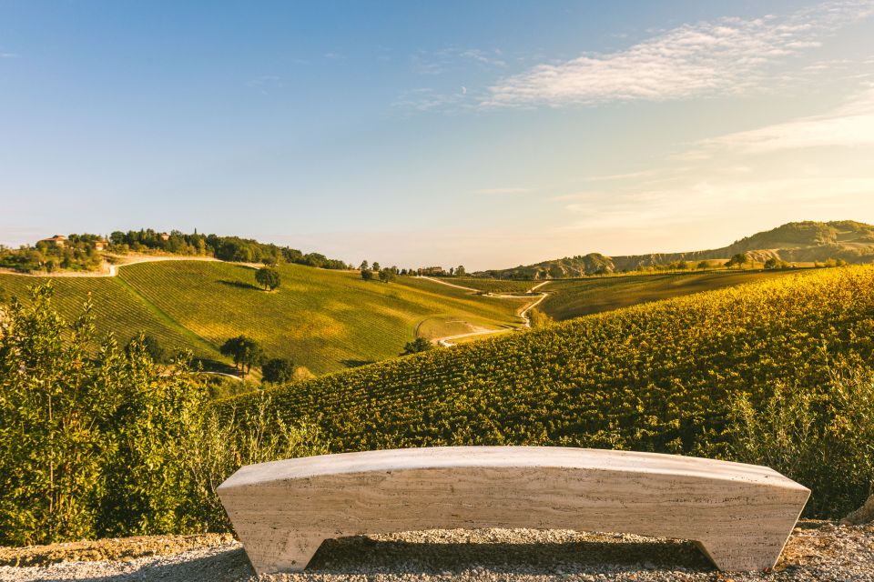 Bologna: Olive Grove and Vineyard Tour with Product Tastings - The 1–1.5 Hour Rhythm: What Happens After You Arrive