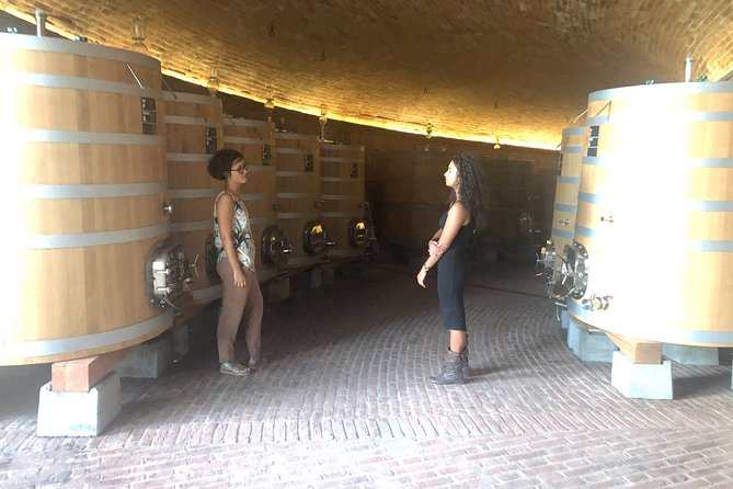 Brunello di Montalcino Wine Tour of 2 Wineries with Pairing Lunch - Siena to Brunello country without the driving headache