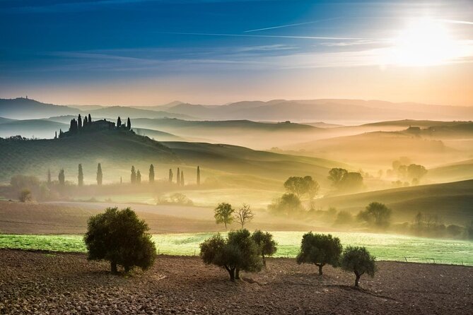 Brunello Wine Tour and Val D'Orcia Landscape - Key highlights you’ll actually feel during this tour