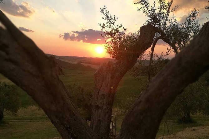 Brunello Wine Tour and Val D'Orcia Landscape - The UNESCO Val d’Orcia Drive: More Than Just Pretty Views