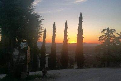 Brunello Wine Tour and Val D'Orcia Landscape - Starting in Pienza and Getting Your Day on Track