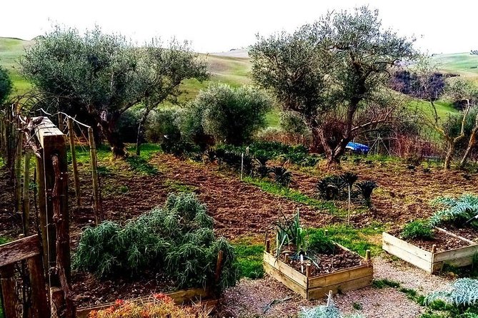 Brunello Wine Tour and Val D'Orcia Landscape - Why the Tour’s Customization Really Matters
