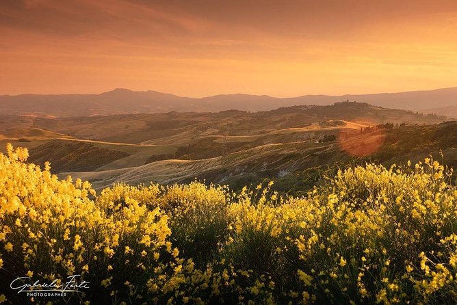 Brunello Wine Tour and Val D'Orcia Landscape - What You’ll Likely Learn While You Taste Brunello