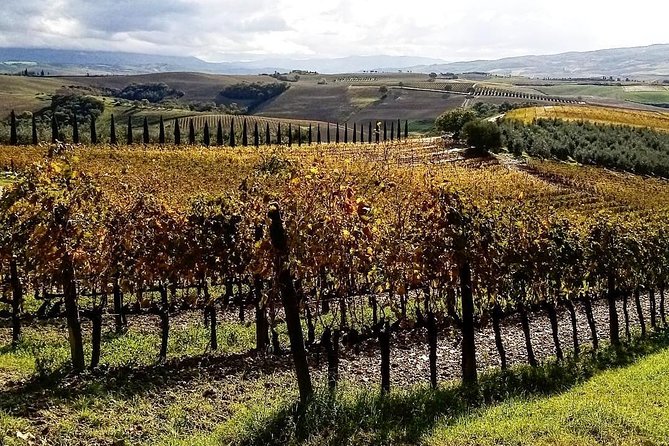 Brunello Wine Tour and Val D'Orcia Landscape - Lunch Isn’t Included: Plan a Smooth Finish