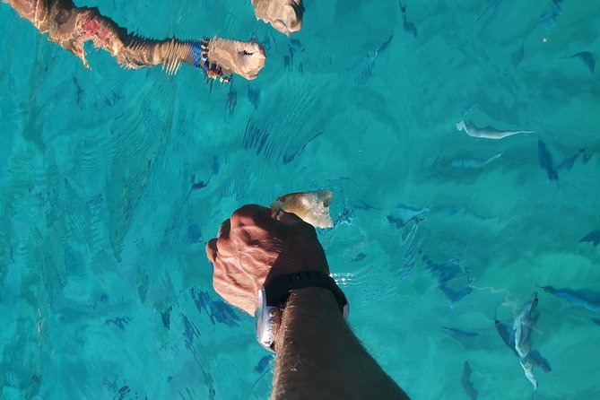 By boat between the sea and the most beautiful beaches! Capo Vaticano - Tropea - Briatico - Capo Vaticano Finale Near Paia i Focu
