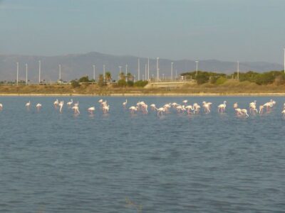 Cagliari: Bike Tour in the Flamingo Oasis - The Marina-to-Bonaria Start: City Sights Before the Quiet