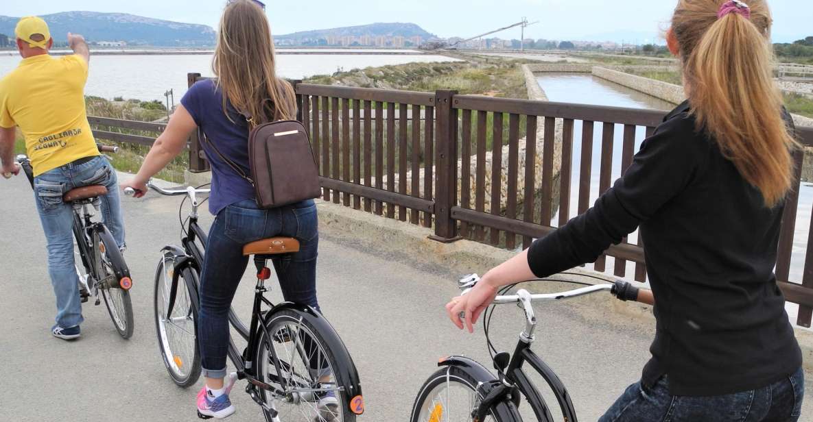 Cagliari: Bike Tour in the Flamingo Oasis - Ex Stadio Sant’Elia: A Stop With Local Context